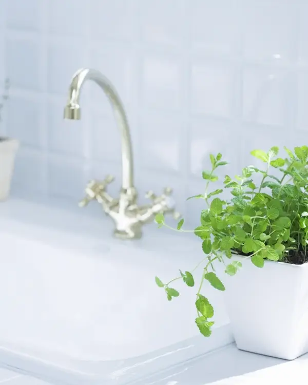 White sink with a chrome mixer tap
